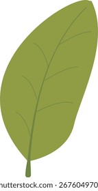 Tropical Leaves Botanical Elements Flat Style in Natural Pastel