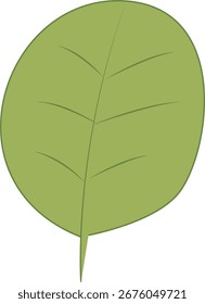 Tropical Leaves Botanical Elements Flat Style in Natural Pastel
