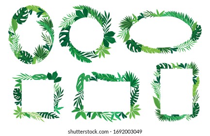 Tropical Leaves and Branches in Shaped Frames and Borders Vector Set