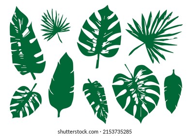 tropical leaves, bright colored, vector isolated objects set