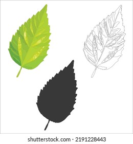 tropical leaves, bright colored, vector isolated objects set, juicy green