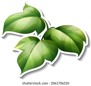 Tropical leaves brush sticker on white background illustration