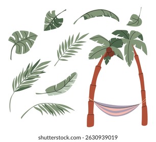Tropical leaves. Cartoon jungle exotic palm plants and flowers. Banana, philodendron, plumeria, monstera leaf isolated on white background. Floral element vector set