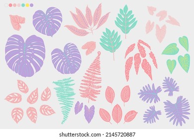 Tropical leaves chewing gum color. Tropics flowers and plants. Pink, blue, purple