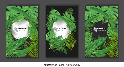 Tropical leaves and circle copyspace background for banner or posters. Summer concept Social media cover or story template. Vector illustration.