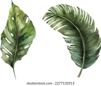 Hojas tropicales clipart, ilustración vectorial aislada.