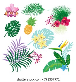 Tropical leaves collection