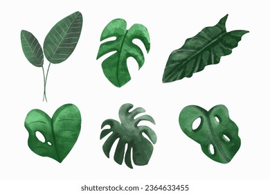 Colección de hojas tropicales, vector botánico de recogida aislado en fondo blanco