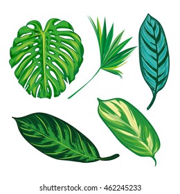 Tropical Leaves Collection on isolate vector. Beautiful Set. Vector illustration. Eps 10.