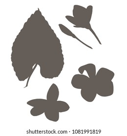 Tropical leaves collection. Palm leaves. Vector illustration