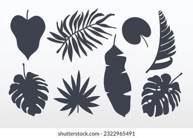 Colección de hojas tropicales. Conjunto de hojas tropicales siluetas vectorial ilustración.