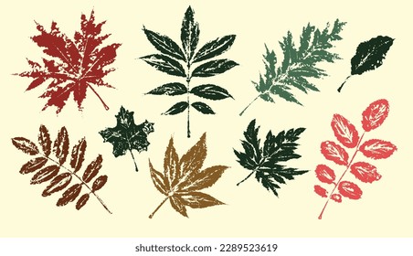 Tropical leaves collection. Textured ink brush drawing. Vector illustration