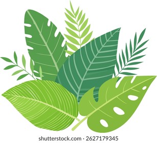 tropical leaves collection. Various green leaves, including ferns and palm leaves. Nature illustration, vector elements.