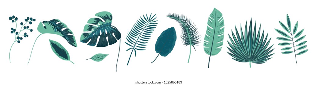 Tropical leaves collection. Vector Illustration isolated on white background.