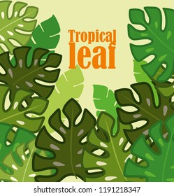 Tropical leaves collection. Vector isolated elements on the white background. shades of green. Vector illustration EPS10
