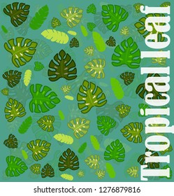 Tropical leaves collection. Vector isolated elements on the white background. shades of green. Vector illustration EPS10