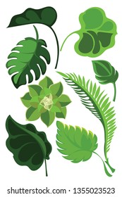 Tropical leaves collection. Vector isolated elements on the white background