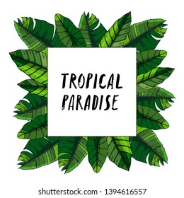 Tropical leaves collection. Vector isolated elements on the white background.