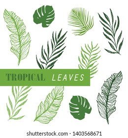 Tropical leaves collection. Vector isolated elements on the white background.