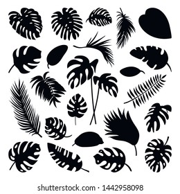 Tropical leaves collection. Vector isolated elements on the white background.