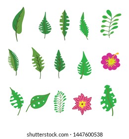 Tropical leaves collection. Vector isolated elements on the white background.