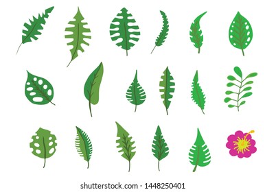 Tropical leaves collection. Vector isolated elements on the white background.