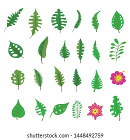 Tropical leaves collection. Vector isolated elements on the white background.