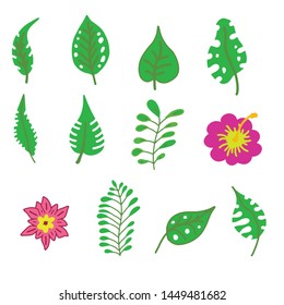 Tropical leaves collection. Vector isolated elements on the white background.