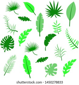 Tropical leaves collection. Vector isolated elements on the white background.