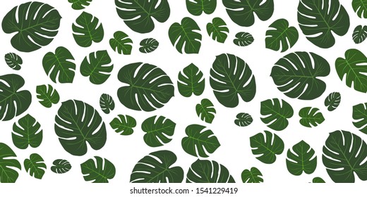 Tropical leaves collection, Vector isolated elements on the white background