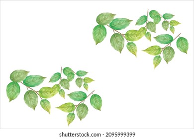 Tropical leaves collection. Vector isolated elements on the white background.