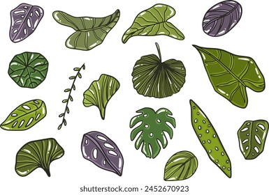 Tropical leaves collection. Vector isolated elements on the white background.