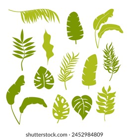 Tropical leaves collection. Vector isolated elements on the white background.