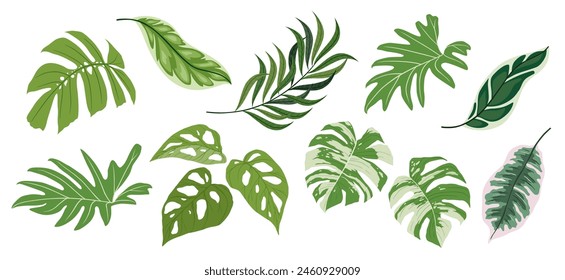 Tropical leaves collection. Vector isolated elements on the white background.