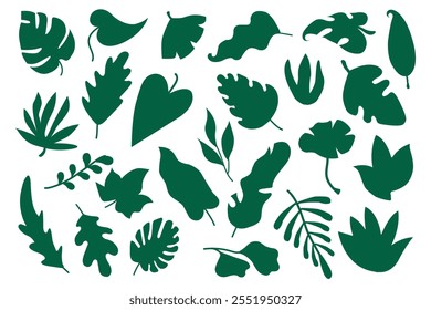 Tropical leaves collections set. Floral elements vector illustration set. Tropical leaves in various shapes and sizes, including monstera, palm, and fern leaves