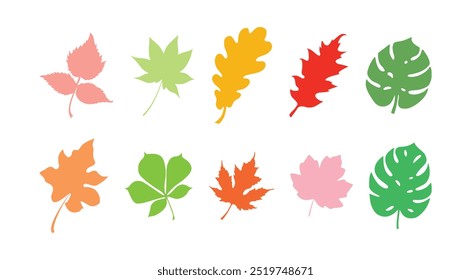 Ilustración de diseño de Vector de color de hojas tropicales