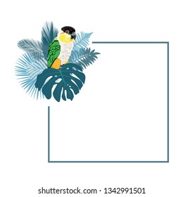 tropical leaves and colorful bird, vector frame