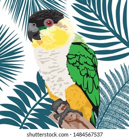 tropical leaves and colorful bird, vector background 