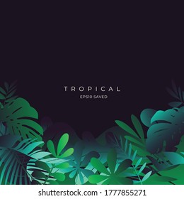 Tropical leaves and Colorful summer background