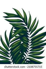 Tropical leaves. Colorfull painting on white background vector
