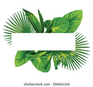 Palm Leaf Border Images, Stock Photos & Vectors | Shutterstock