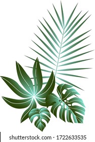 Tropical leaves composition. Jungle foliage design for postcard, label, web design or post in social networks. Paradise nature element. Botanical vector illustration isolated on white background.