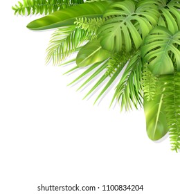 Tropical leaves in a corner. Foliage of exotic plants. Vector realistic illustration for decorating a greeting card, invitation or flyer.