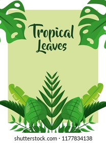 tropical leaves cover trendy botanical floral