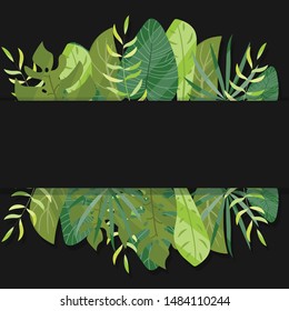 tropical leaves  dark background vector illustration hand draw desing