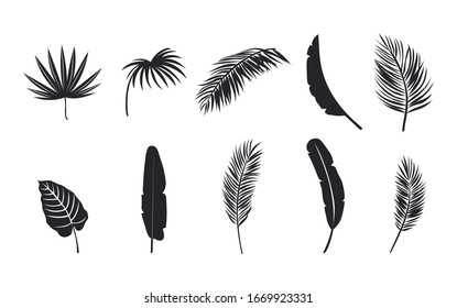 Tropical leaves dark silhouette set. Palm leaves silhouette collection.