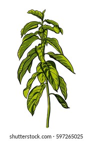 Tropical leaves, dense jungle. hand painted pattern. Vector.