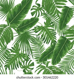 Tropical Palm Leaves Jungle Leaves Seamless Stock Vector (Royalty Free ...