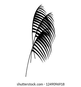 tropical leaves design