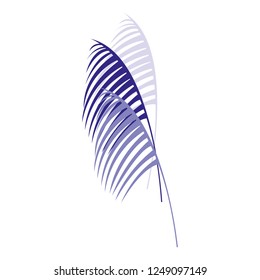 tropical leaves design
